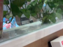 -嘉和一品粥(政府街店)