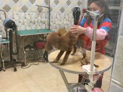 -骐奇宠物诊疗中心(南亭公路店)