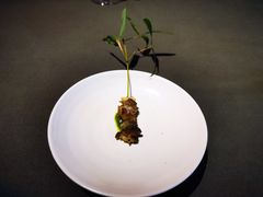 -曲廊院(东四十一条店)