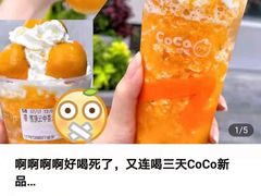 -CoCo都可(上海环球港店)