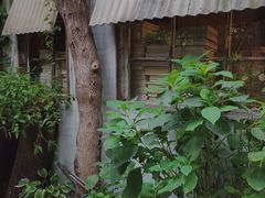 -斯多格书乡(北京大学畅春园店)
