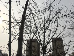-晋江五店市传统文化旅游区