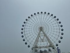 -秦皇岛乐岛海洋王国