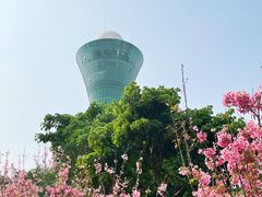 -狐尾山公园