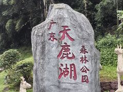 -天鹿湖森林公园