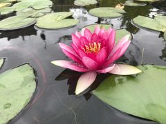 -渭南桃花源民俗文化园