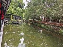 -侨美·唐荔园·40年地道粤菜