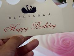 -BLACKSWAN黑天鹅(环球店)