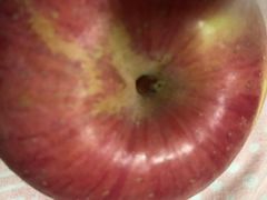 -仲雅水果大卖场(仲雅苑店)