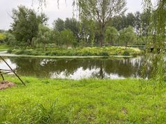 -东郊湿地公园