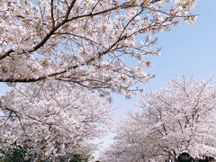 -上海辰山植物园
