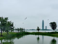 -海宁鹃湖公园