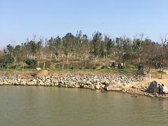 -瑶湖郊野森林公园