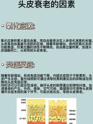 -天其美科学美肤·生发健康管理