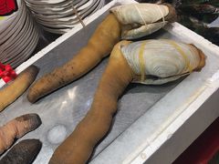 象拔蚌-蚝专家(北滘店)