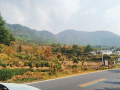 -塔川景区