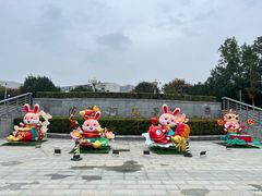 -沙澧河风景区