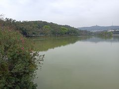 -惠州西湖