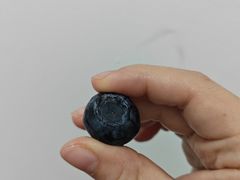 -沃尔玛(摩尔广场店)