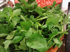 西洋菜-鲜入围煮花胶鸡海鲜火锅