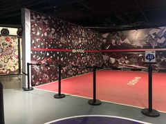 -VS SPORTS PARK运动玩乐园·团建·生日会(合生汇店)
