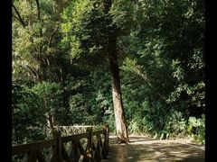 -广州市流溪河国家森林公园