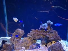 -海合安武汉极地海洋公园