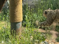 -青藏高原野生动物园