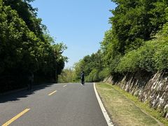 -宜兴龙背山森林公园