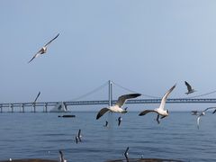 -星海广场