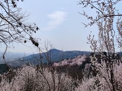 -北京西山国家森林公园