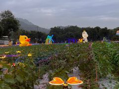 -光明农场大观园