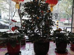 -粗粮人家·东北菜(洋桥店)