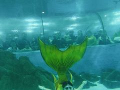 -苏州海洋馆