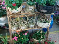 -双季花艺园艺市场(浦东店)