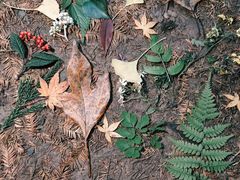 -山王坪喀斯特国家生态公园