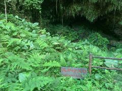 -海口火山口国家地质公园