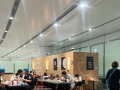 大堂-麦当劳(北京大兴机场二层国内到达(安检外)店)