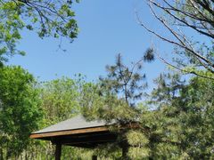 -大兴滨河森林公园