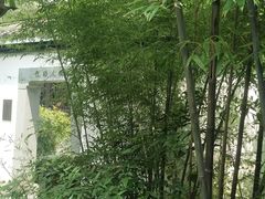 -茅家埠