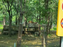 -秦皇岛野生动物园