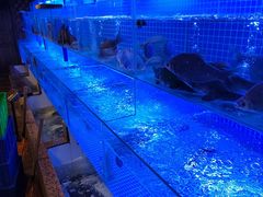 水产区-老宋家鱼馆(北滨路店)