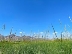 -敕勒川草原文化旅游区