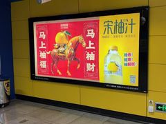 -舒记钵钵鸡