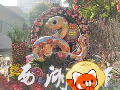 -越秀西湖花市(广州城市广场花卉店)