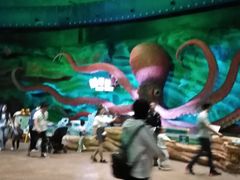 -青岛嘉年华主题乐园