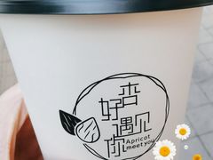 -杏好遇见你(总店)