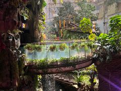 -正佳雨林生态植物园