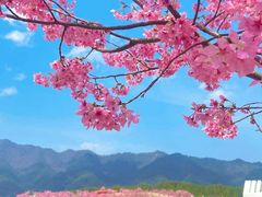 -老铁私房菜