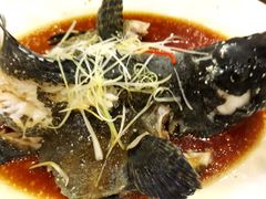 -顺峰渔港中国人的餐厅
